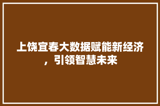 上饶宜春大数据赋能新经济，引领智慧未来