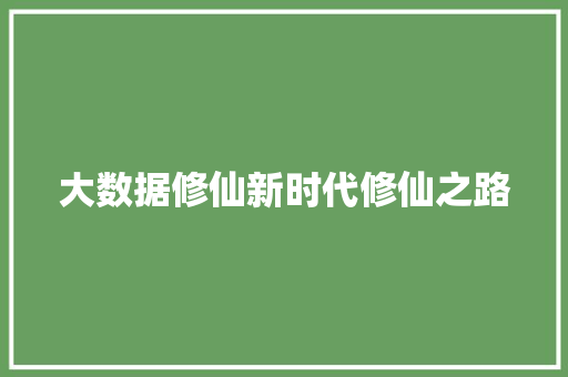 大数据修仙新时代修仙之路
