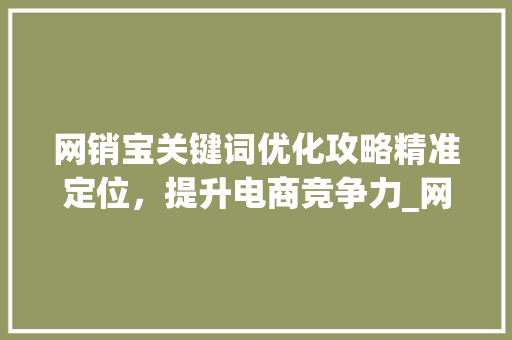 网销宝关键词优化攻略精准定位，提升电商竞争力_网销宝关键词如何优化