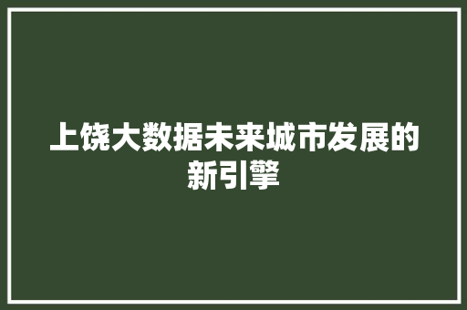 上饶大数据未来城市发展的新引擎