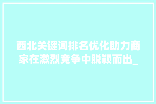 西北关键词排名优化助力商家在激烈竞争中脱颖而出_西北关键词排名优化商家