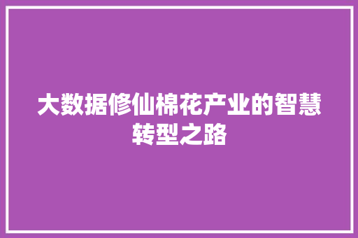 大数据修仙棉花产业的智慧转型之路