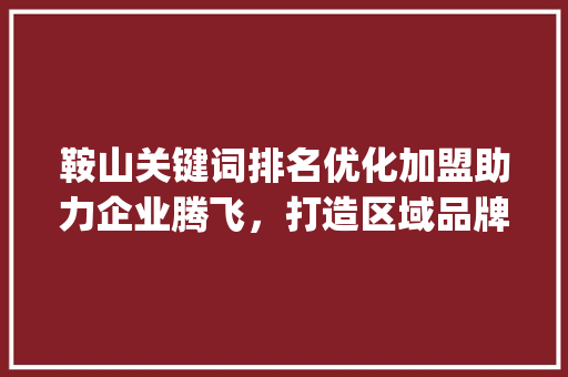 鞍山关键词排名优化加盟助力企业腾飞，打造区域品牌新高度_鞍山关键词排名优化加盟