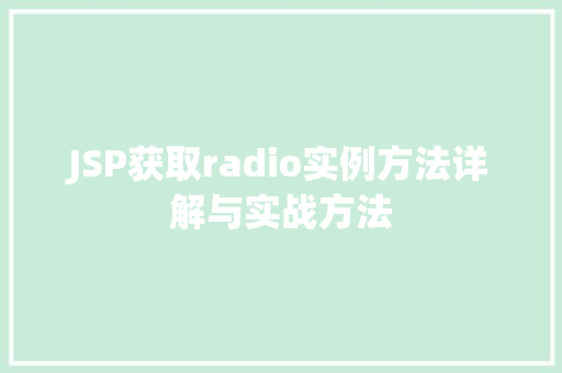JSP获取radio实例方法详解与实战方法