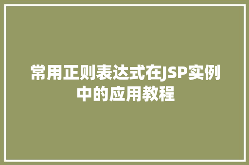 常用正则表达式在JSP实例中的应用教程