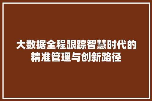 大数据全程跟踪智慧时代的精准管理与创新路径