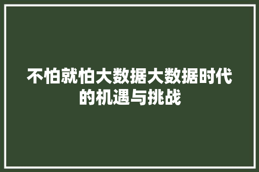 不怕就怕大数据大数据时代的机遇与挑战