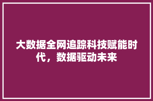 大数据全网追踪科技赋能时代，数据驱动未来