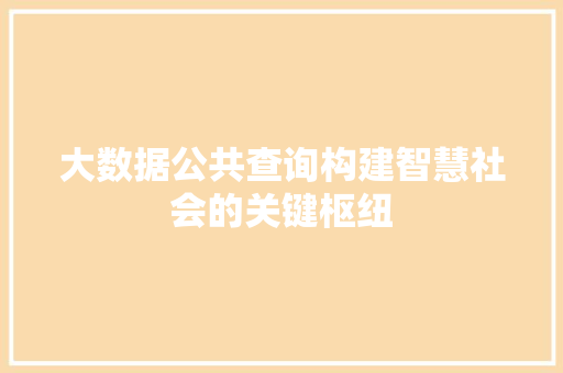 大数据公共查询构建智慧社会的关键枢纽