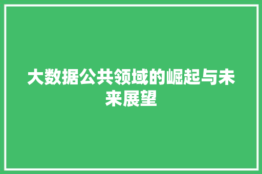 大数据公共领域的崛起与未来展望