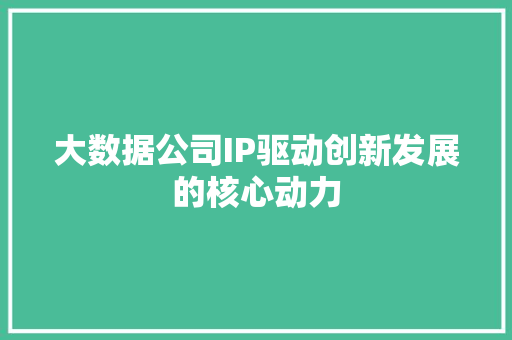 大数据公司IP驱动创新发展的核心动力