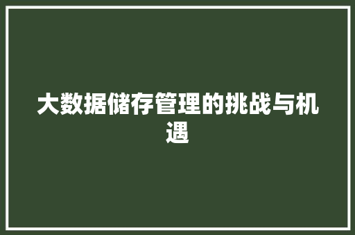 大数据储存管理的挑战与机遇