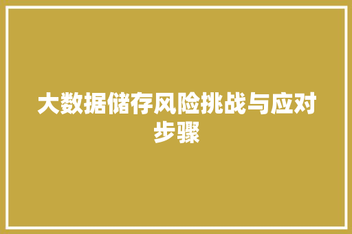 大数据储存风险挑战与应对步骤  第1张