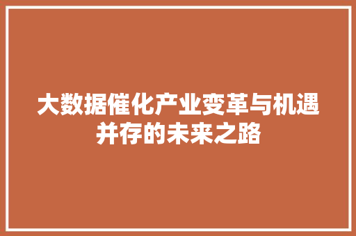 大数据催化产业变革与机遇并存的未来之路