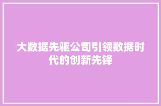 大数据先驱公司引领数据时代的创新先锋