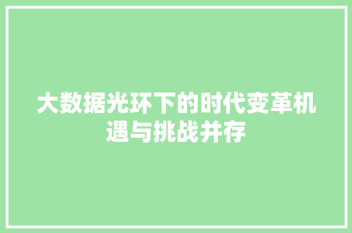 大数据光环下的时代变革机遇与挑战并存