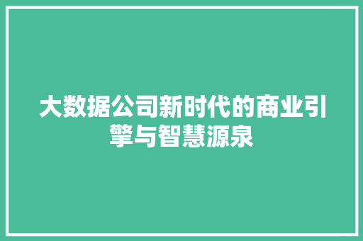 大数据公司新时代的商业引擎与智慧源泉