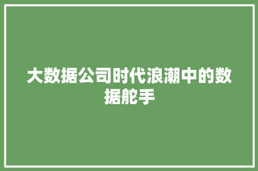 大数据公司时代浪潮中的数据舵手  第1张