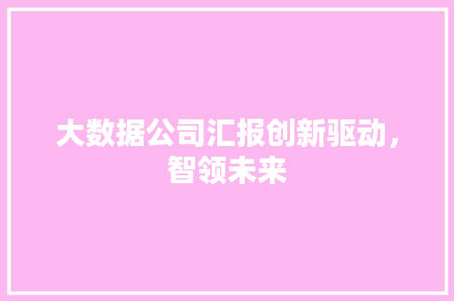 大数据公司汇报创新驱动，智领未来