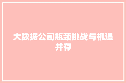 大数据公司瓶颈挑战与机遇并存  第1张