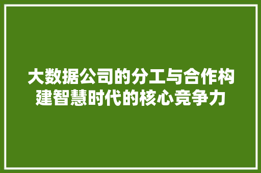大数据公司的分工与合作构建智慧时代的核心竞争力