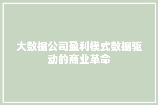 大数据公司盈利模式数据驱动的商业革命