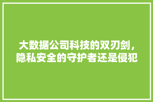 大数据公司科技的双刃剑，隐私安全的守护者还是侵犯者  第1张