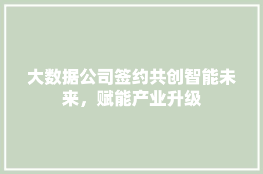 大数据公司签约共创智能未来，赋能产业升级
