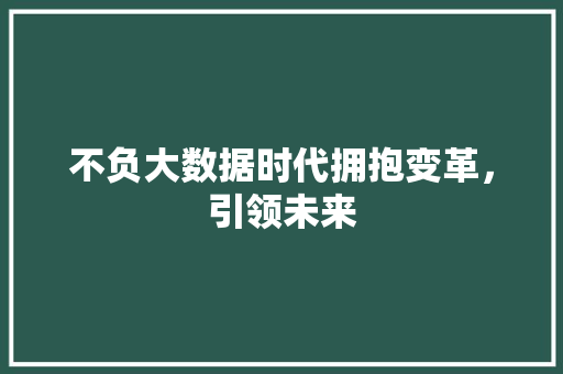 不负大数据时代拥抱变革，引领未来