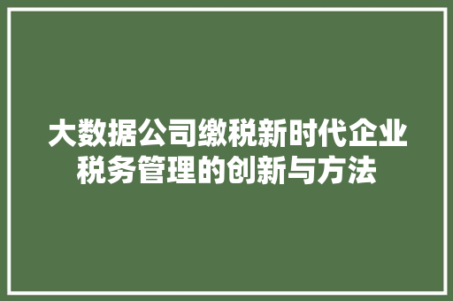 大数据公司缴税新时代企业税务管理的创新与方法  第1张