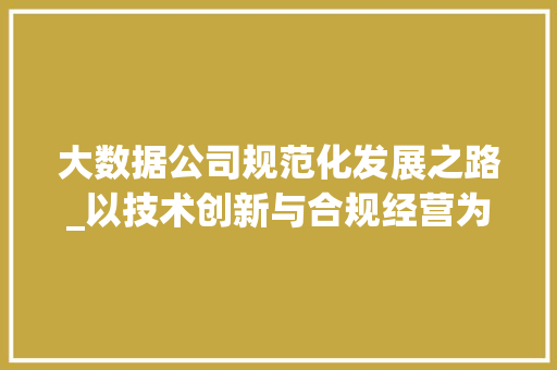 大数据公司规范化发展之路_以技术创新与合规经营为核心