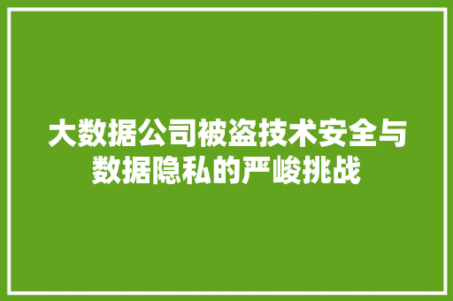 大数据公司被盗技术安全与数据隐私的严峻挑战  第1张