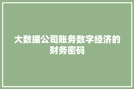 大数据公司账务数字经济的财务密码  第1张