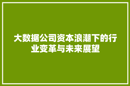大数据公司资本浪潮下的行业变革与未来展望