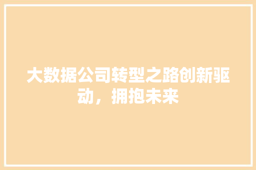 大数据公司转型之路创新驱动，拥抱未来  第1张