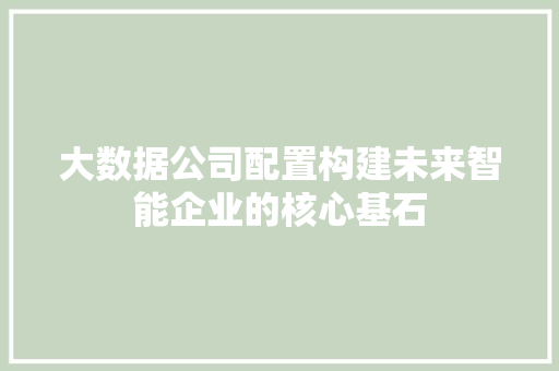 大数据公司配置构建未来智能企业的核心基石