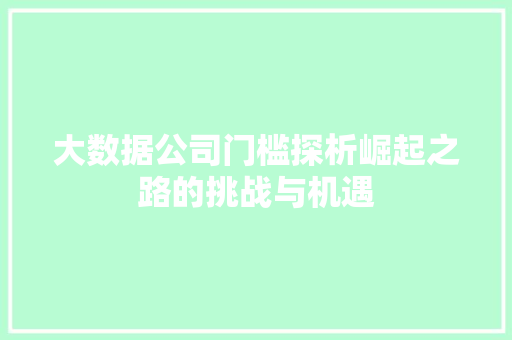 大数据公司门槛探析崛起之路的挑战与机遇  第1张
