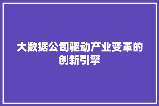 大数据公司驱动产业变革的创新引擎  第1张
