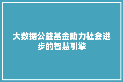 大数据公益基金助力社会进步的智慧引擎