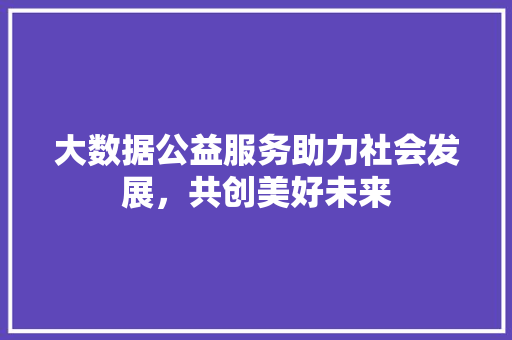 大数据公益服务助力社会发展，共创美好未来