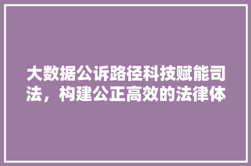 大数据公诉路径科技赋能司法，构建公正高效的法律体系