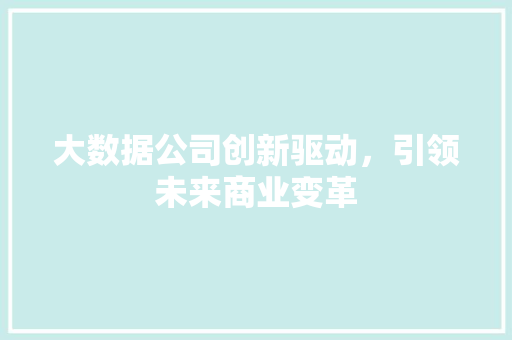 大数据公司创新驱动，引领未来商业变革