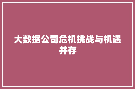 大数据公司危机挑战与机遇并存