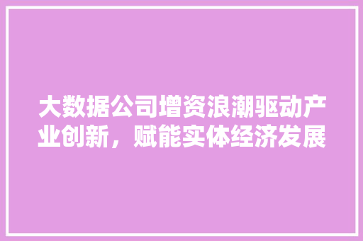 大数据公司增资浪潮驱动产业创新，赋能实体经济发展