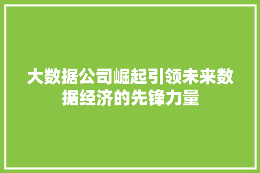 大数据公司崛起引领未来数据经济的先锋力量  第1张