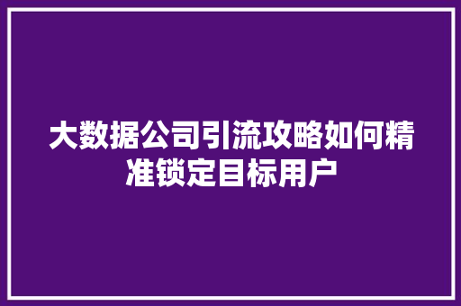 大数据公司引流攻略如何精准锁定目标用户  第1张