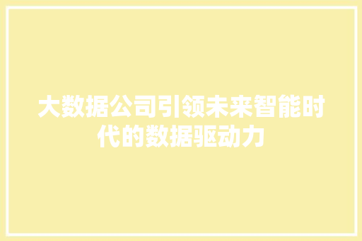 大数据公司引领未来智能时代的数据驱动力