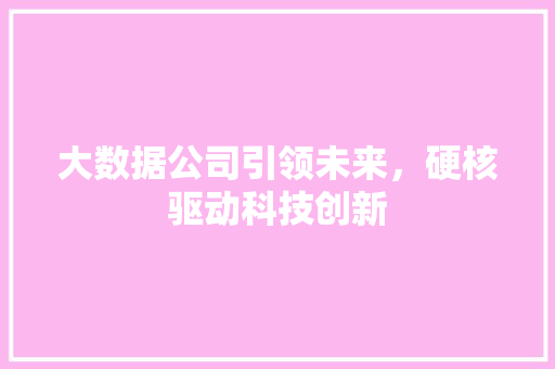 大数据公司引领未来，硬核驱动科技创新