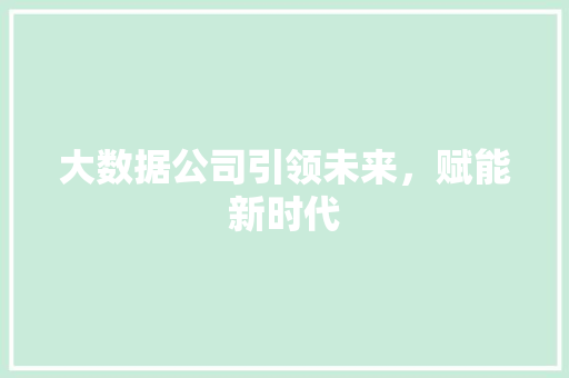 大数据公司引领未来，赋能新时代