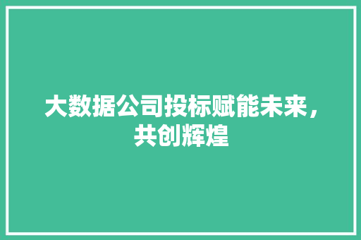 大数据公司投标赋能未来，共创辉煌